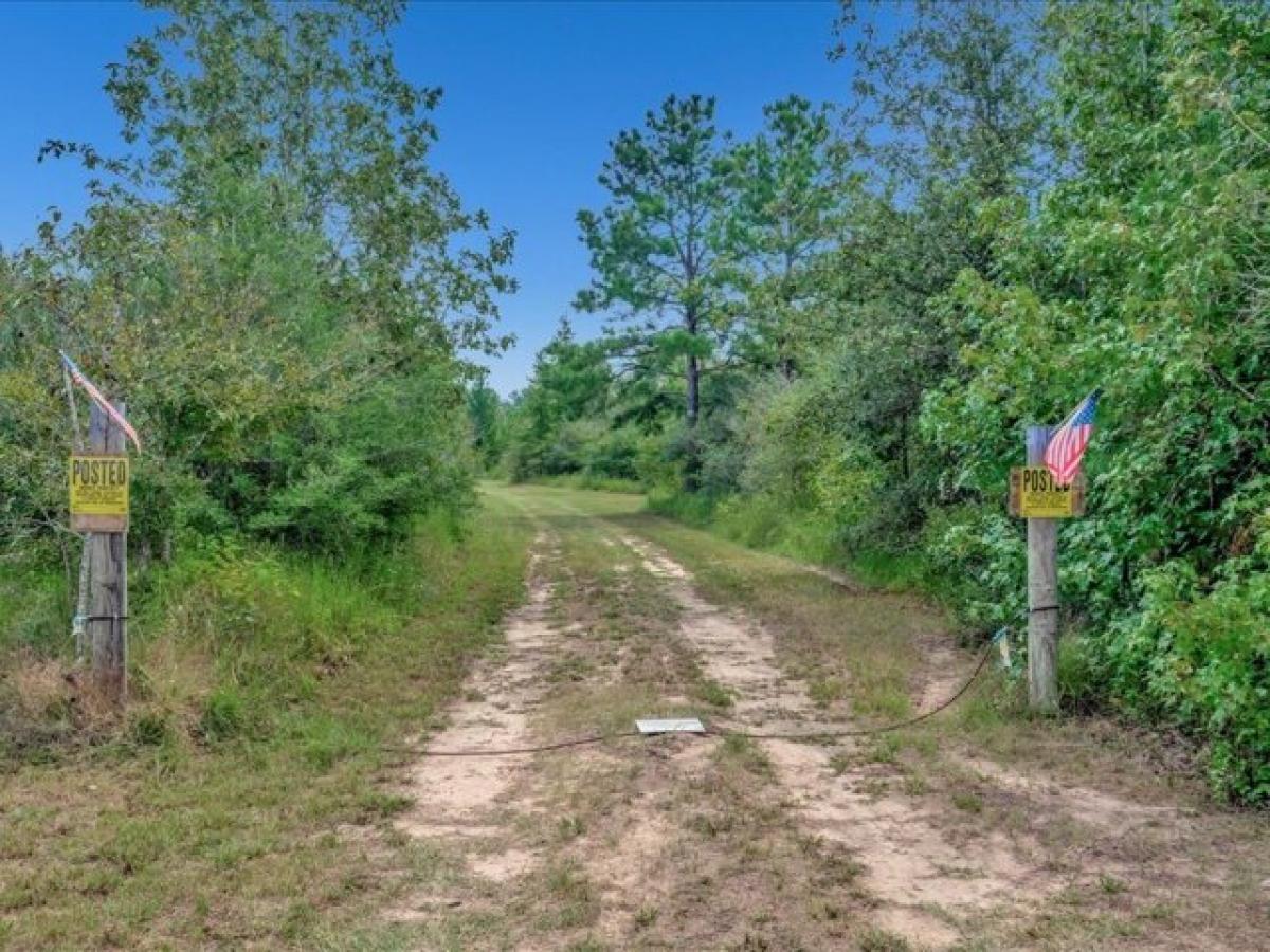 Picture of Residential Land For Sale in Groveton, Texas, United States