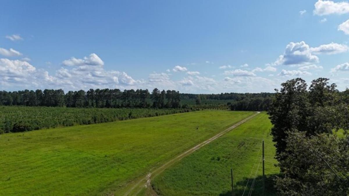 Picture of Residential Land For Sale in Cross, South Carolina, United States