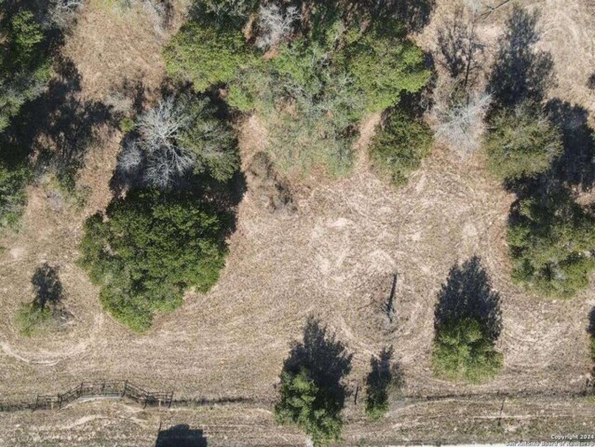 Picture of Residential Land For Sale in Natalia, Texas, United States