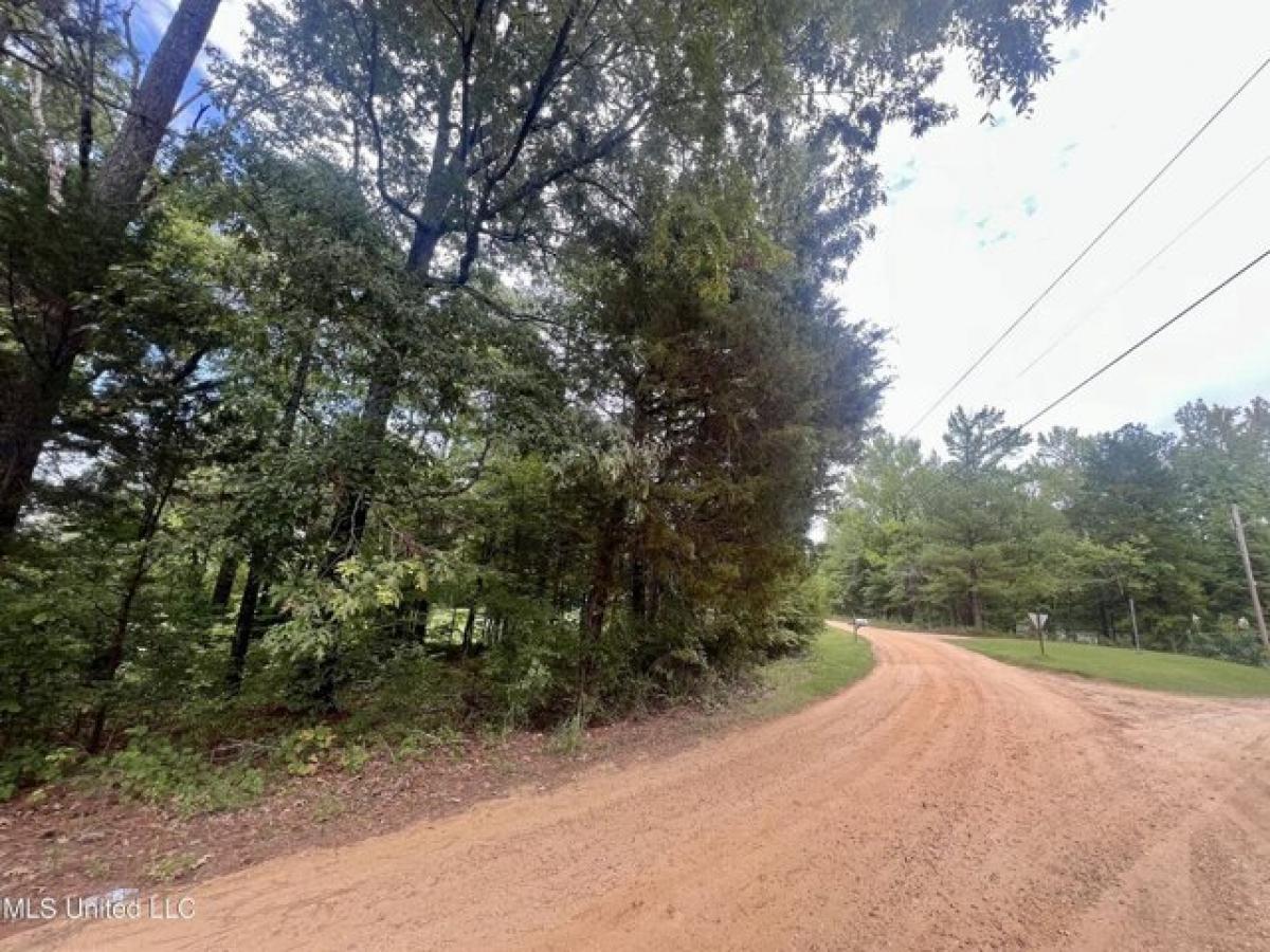 Picture of Residential Land For Sale in Pope, Mississippi, United States