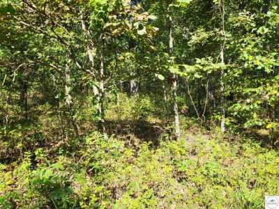 Residential Land For Sale in Edwards, Missouri