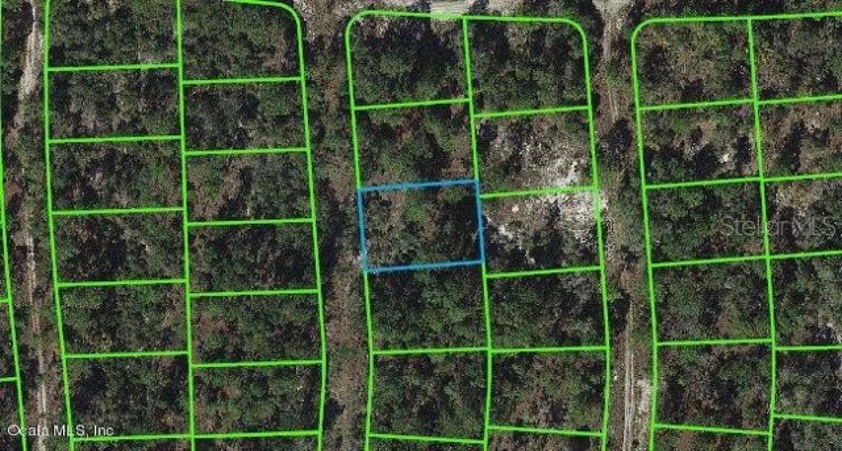 Picture of Residential Land For Sale in Lake Placid, Florida, United States