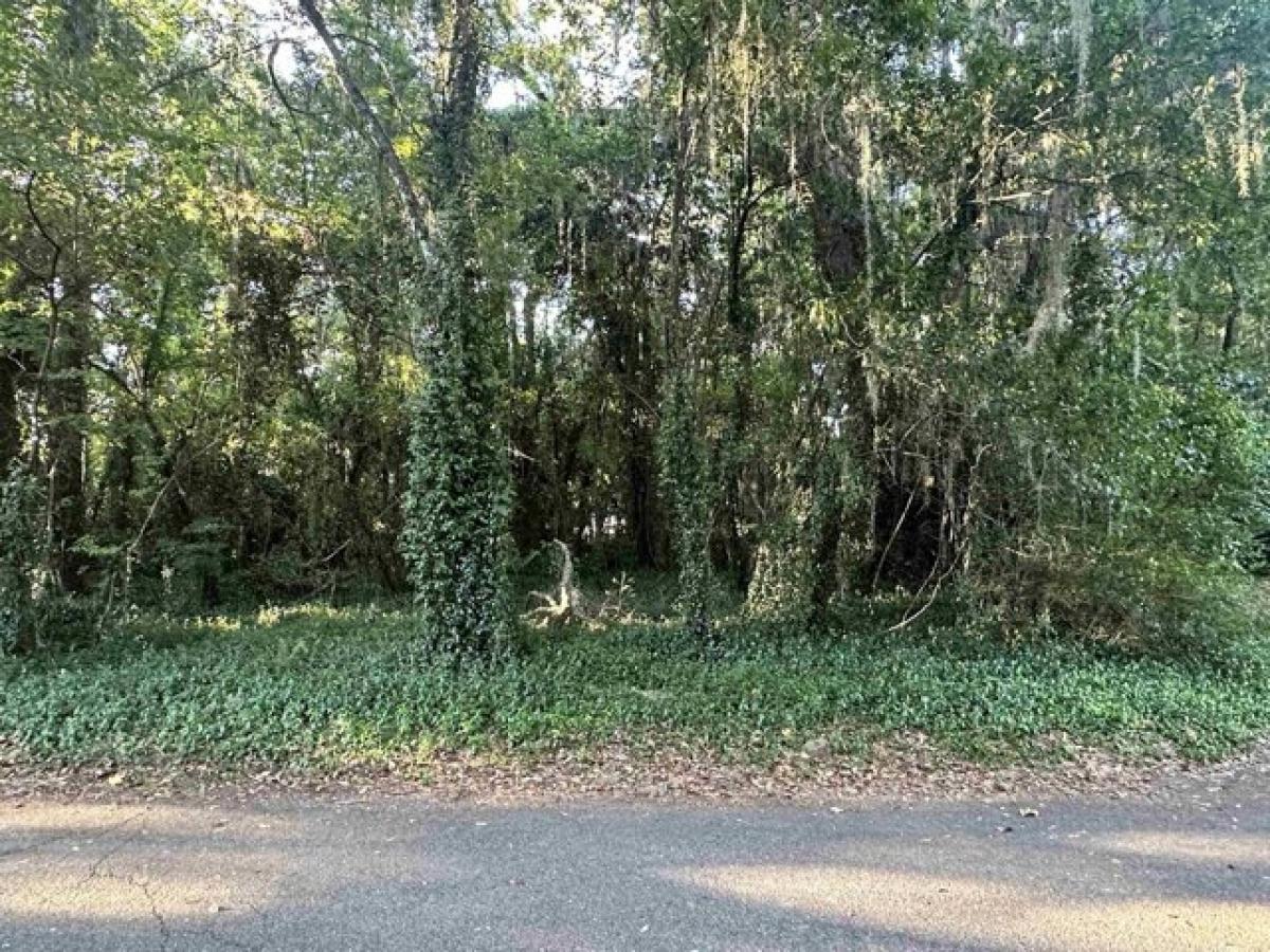 Picture of Residential Land For Sale in Tallahassee, Florida, United States