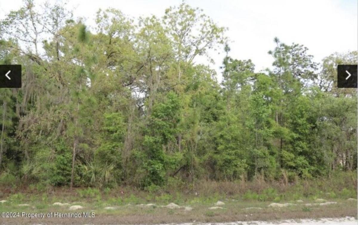 Picture of Residential Land For Sale in Weeki Wachee, Florida, United States