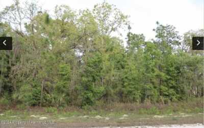 Residential Land For Sale in Weeki Wachee, Florida