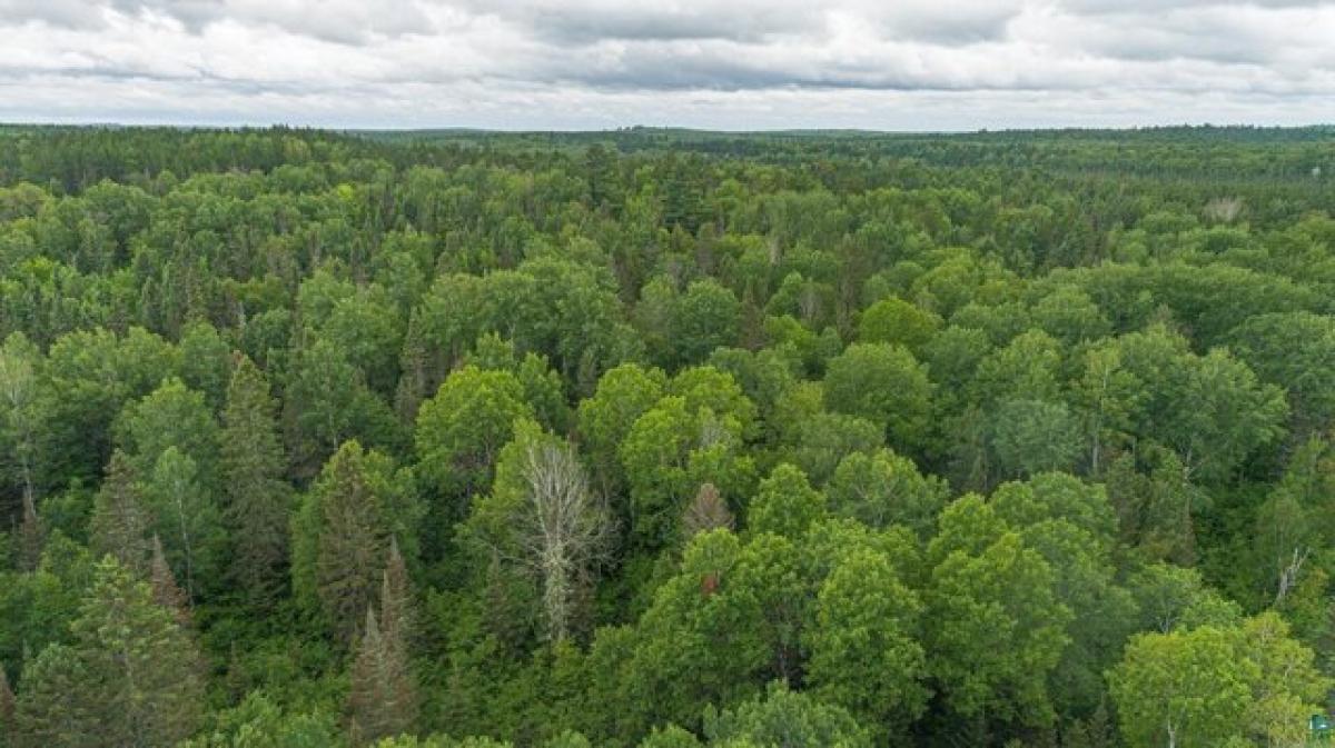 Picture of Residential Land For Sale in Ely, Minnesota, United States