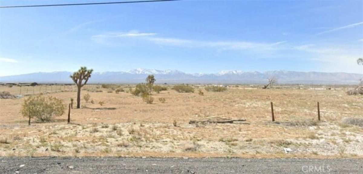 Picture of Residential Land For Sale in Palmdale, California, United States