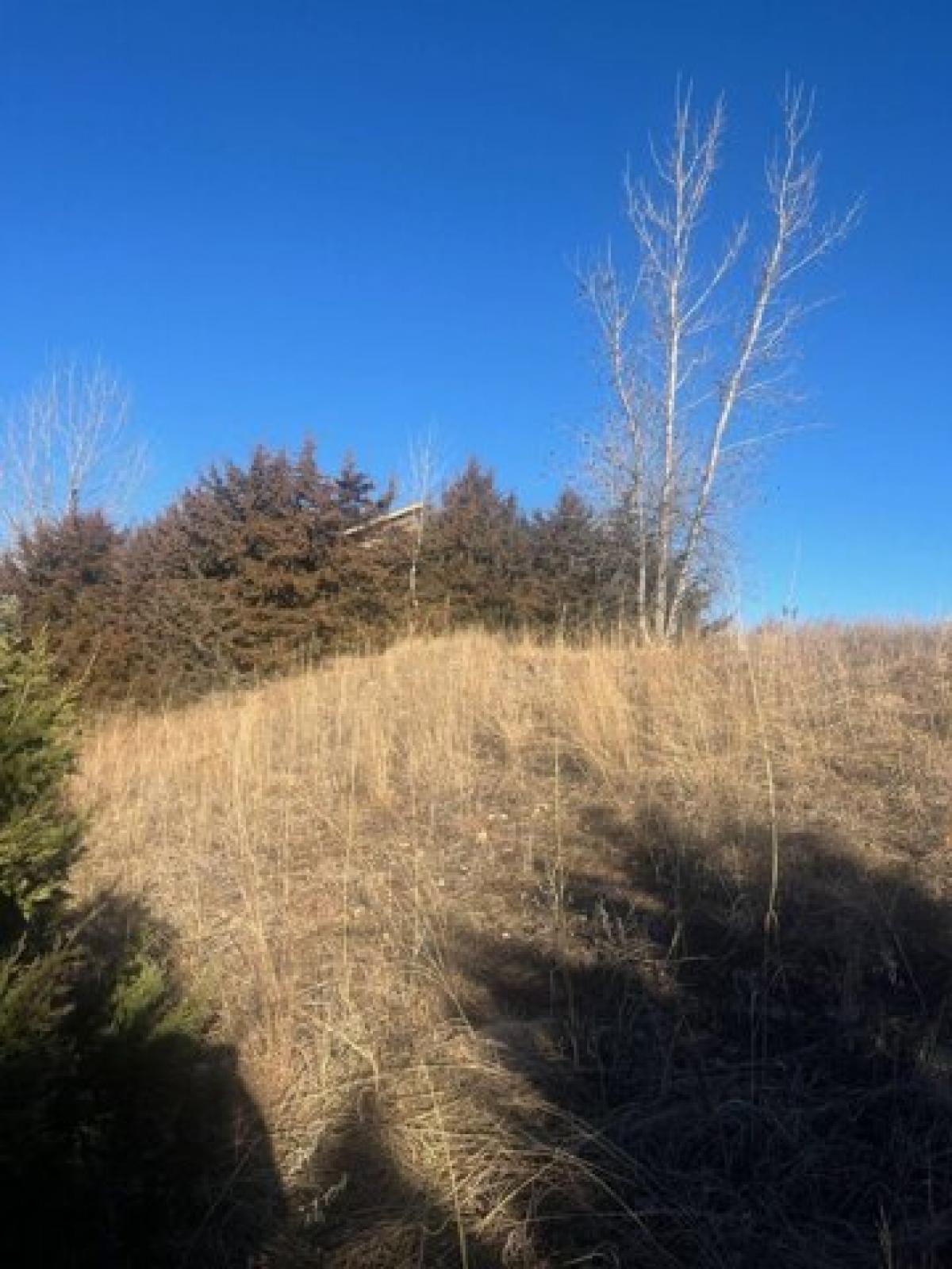 Picture of Residential Land For Sale in Burwell, Nebraska, United States