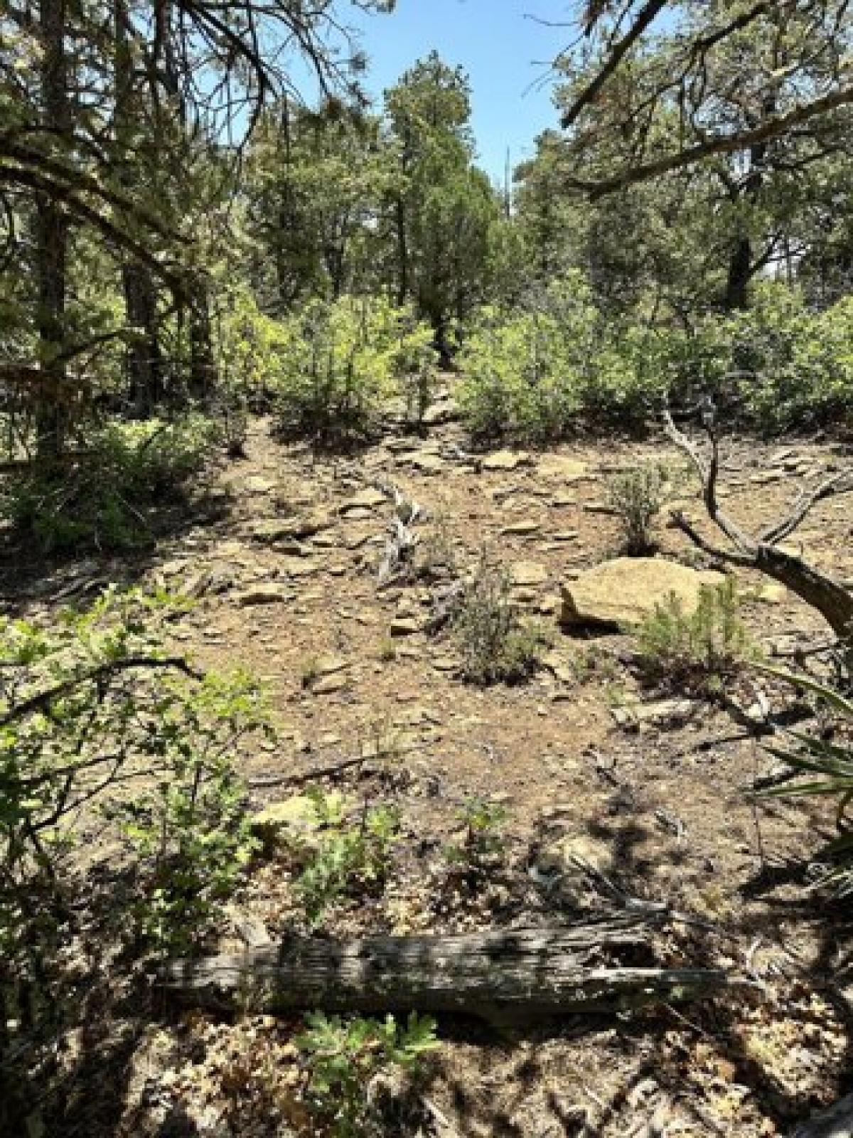 Picture of Residential Land For Sale in Pie Town, New Mexico, United States