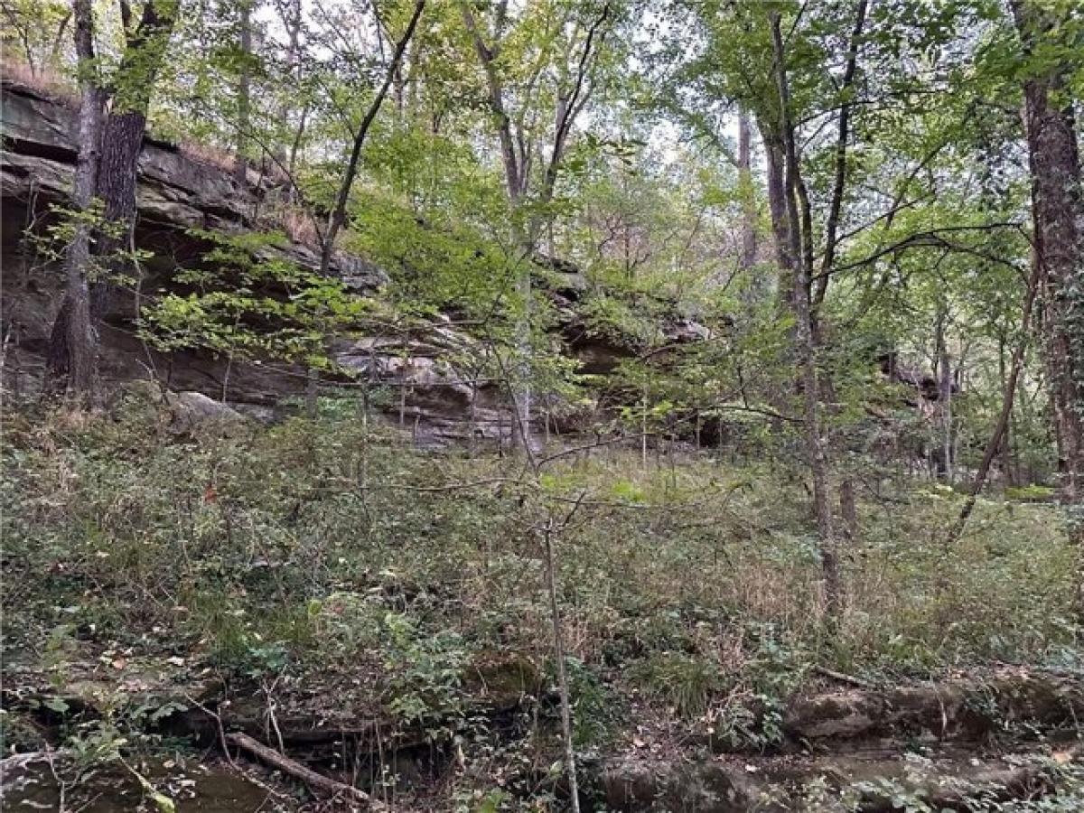 Picture of Residential Land For Sale in El Dorado Springs, Missouri, United States