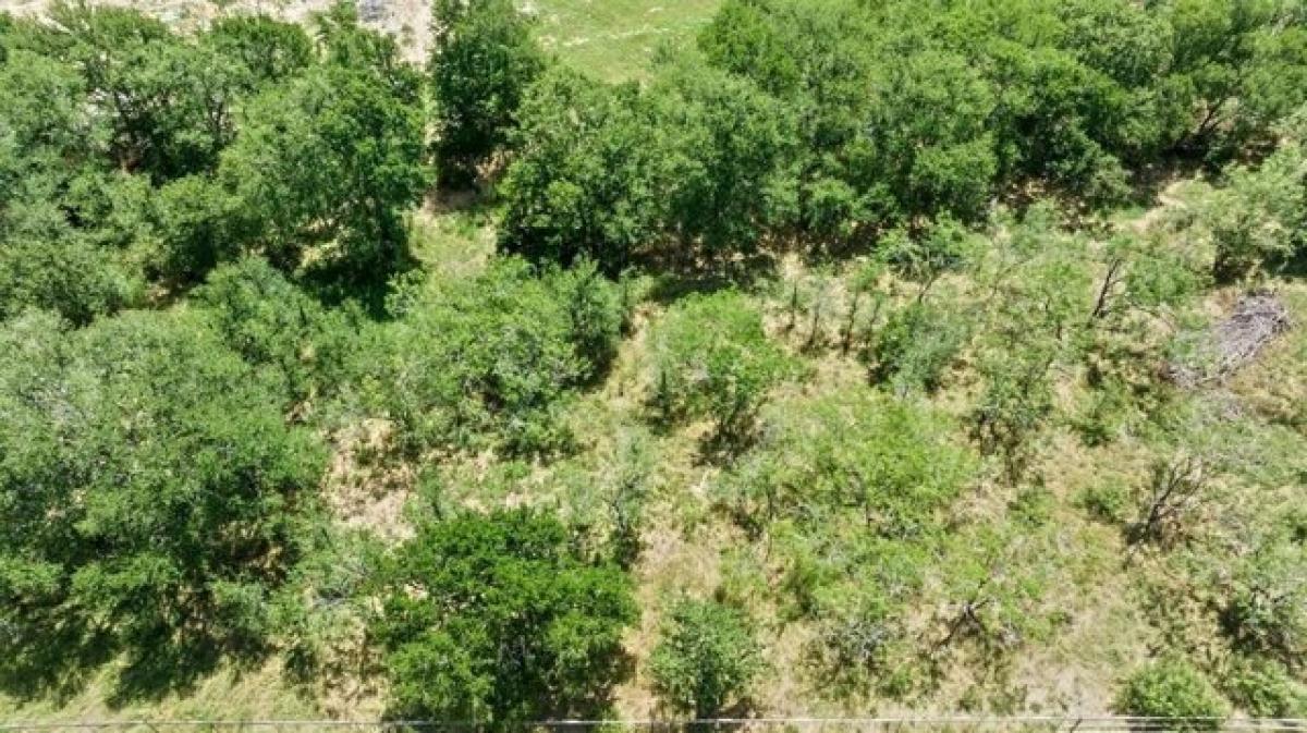 Picture of Residential Land For Sale in Cedar Creek, Texas, United States