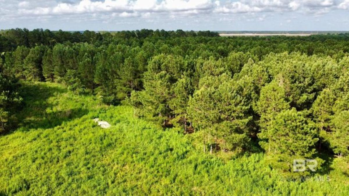 Picture of Residential Land For Sale in Foley, Alabama, United States