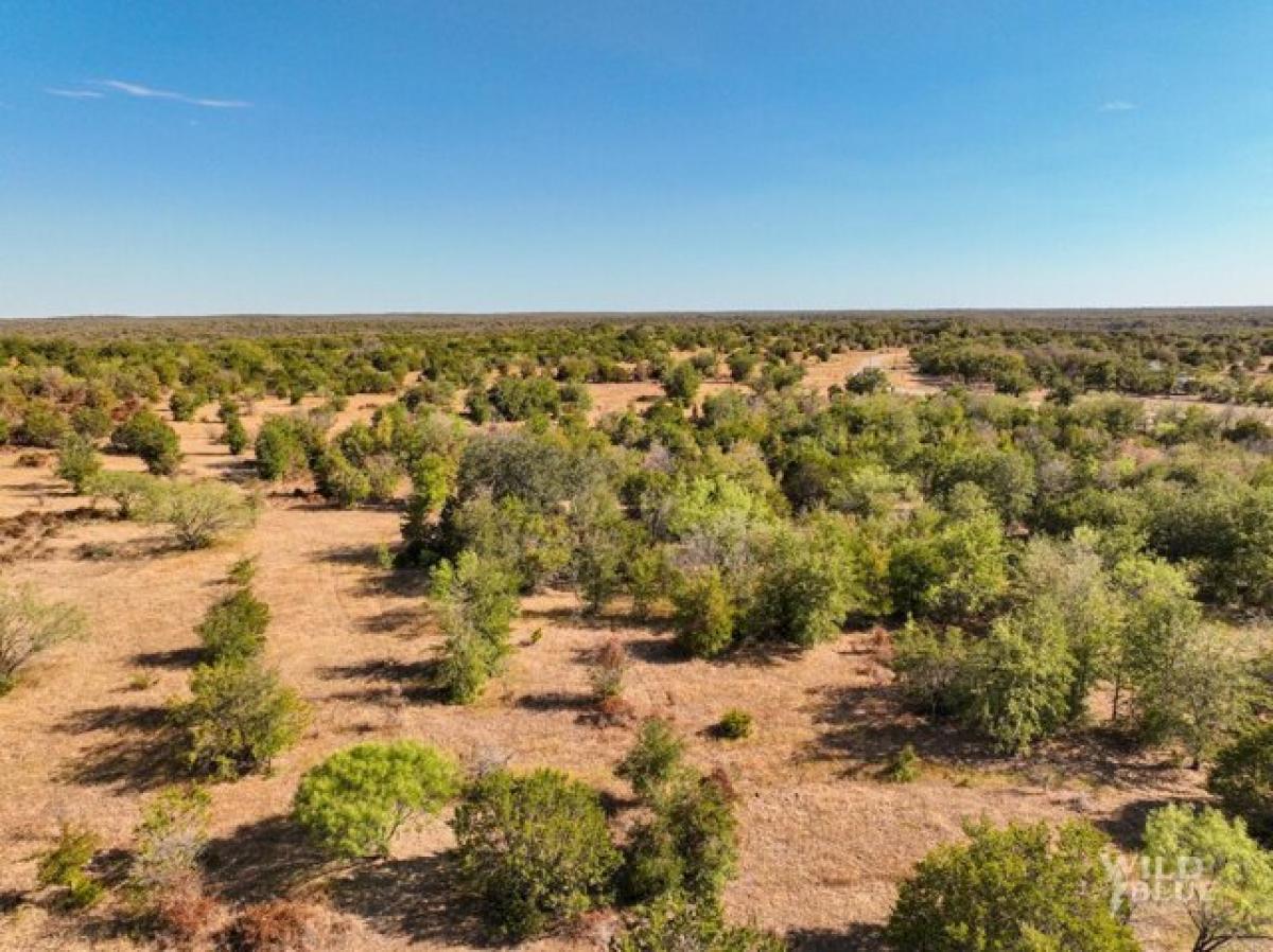 Picture of Residential Land For Sale in Santo, Texas, United States