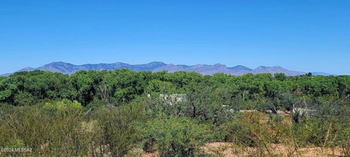 Picture of Residential Land For Sale in Huachuca City, Arizona, United States