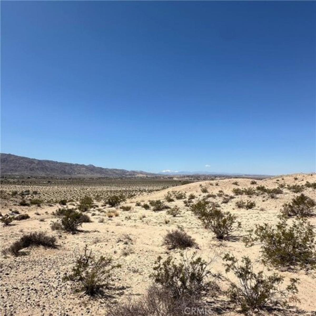 Picture of Residential Land For Sale in Twentynine Palms, California, United States