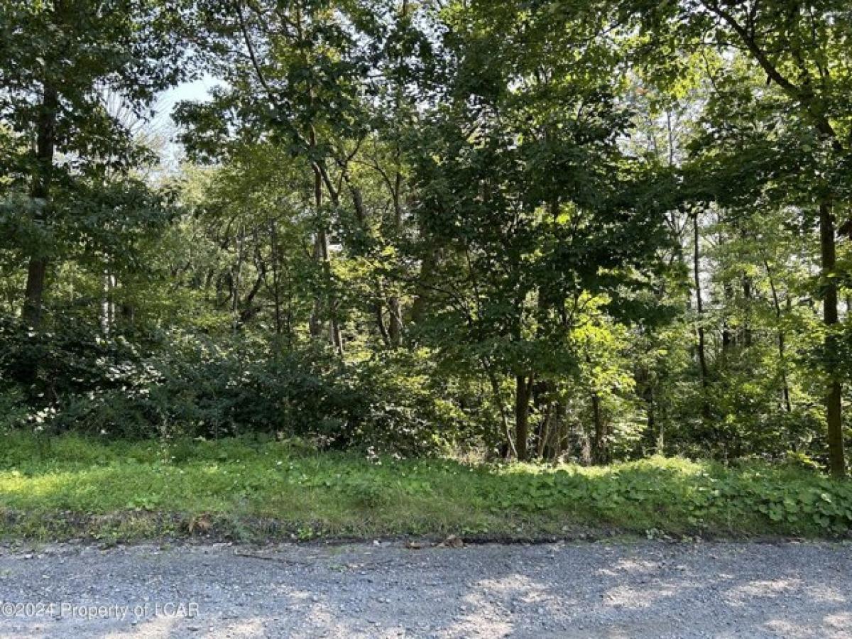 Picture of Residential Land For Sale in Dickson City, Pennsylvania, United States