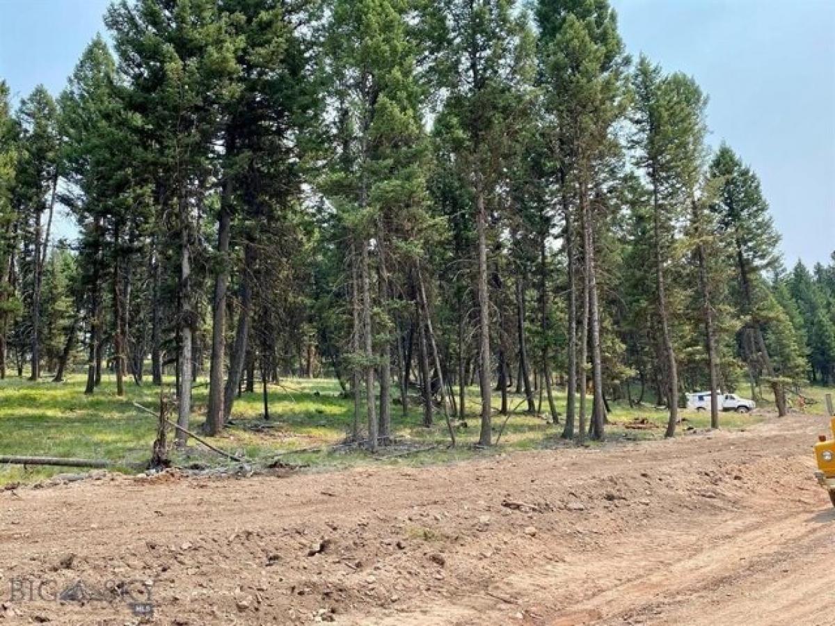 Picture of Residential Land For Sale in Seeley Lake, Montana, United States