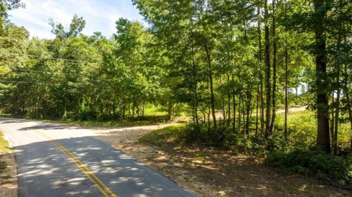 Picture of Residential Land For Sale in Valley, Alabama, United States