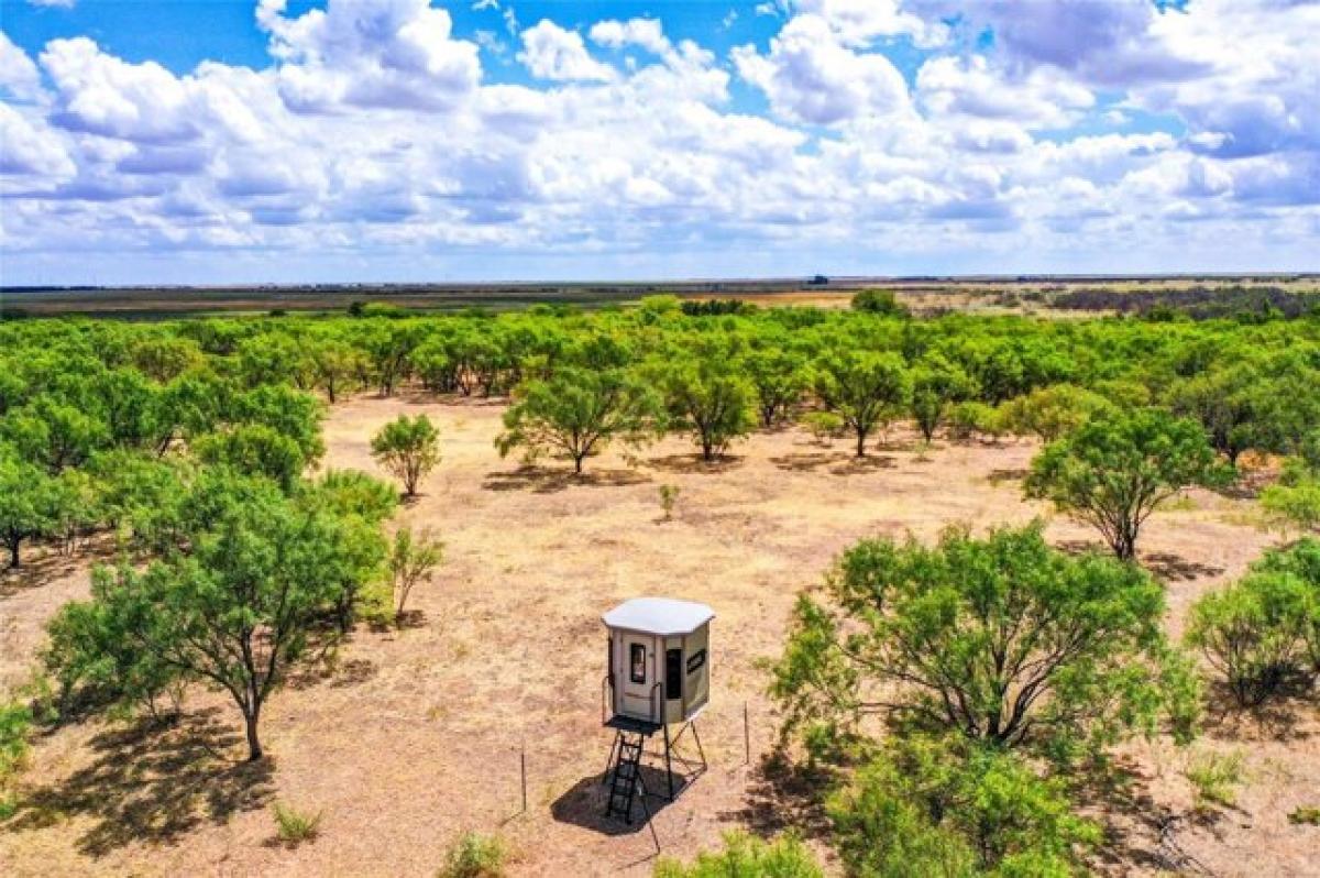 Picture of Residential Land For Sale in Rochester, Texas, United States