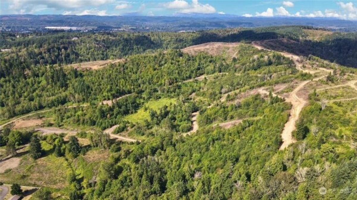 Picture of Residential Land For Sale in Centralia, Washington, United States