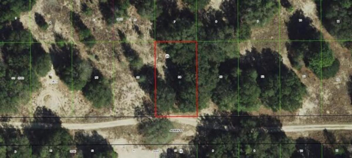 Picture of Residential Land For Sale in Inverness, Florida, United States