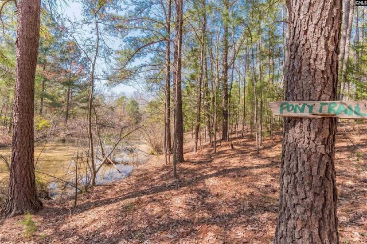 Picture of Residential Land For Sale in Lexington, South Carolina, United States