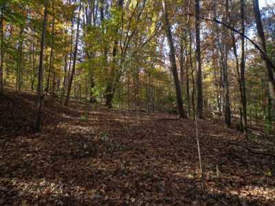 Residential Land For Sale in Waverly, Tennessee