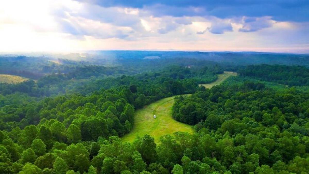 Picture of Residential Land For Sale in Indian Mound, Tennessee, United States