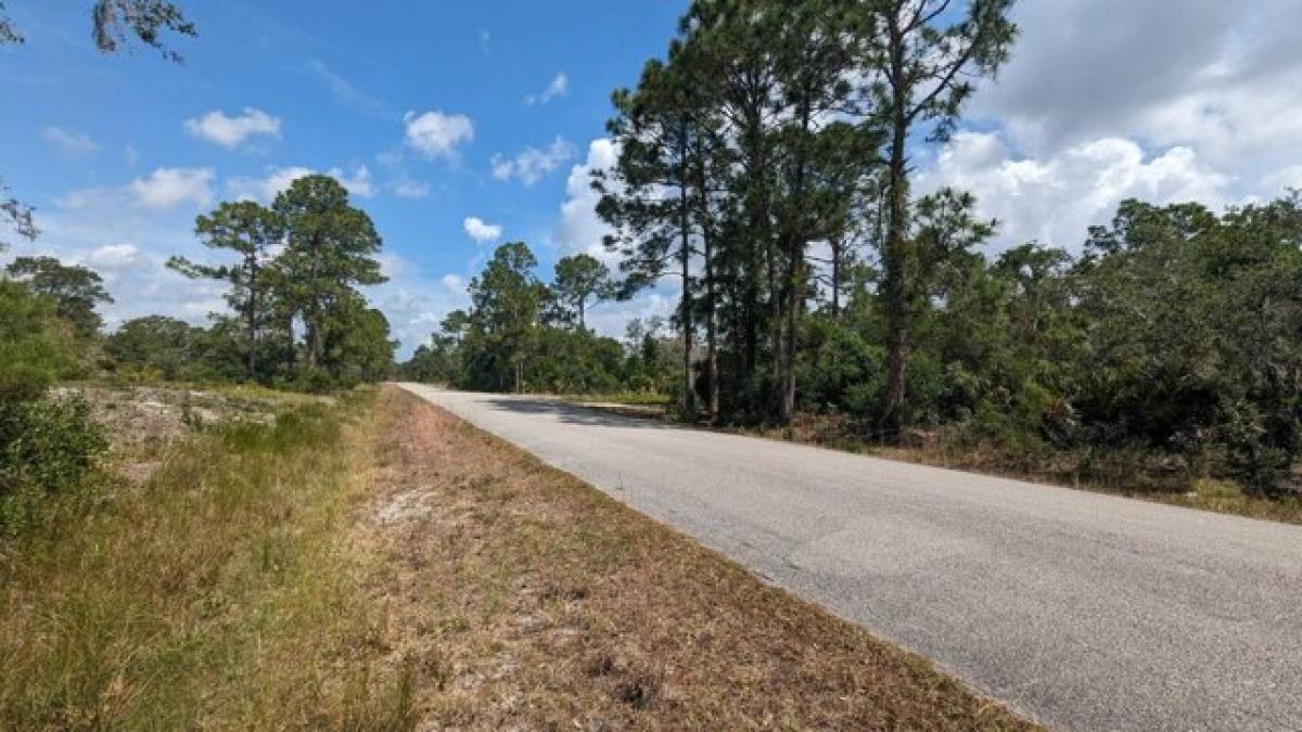 Picture of Residential Land For Sale in Lake Placid, Florida, United States