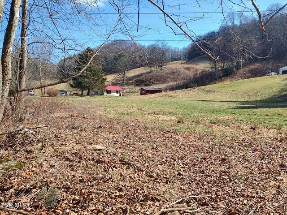 Picture of Residential Land For Sale in Roan Mountain, Tennessee, United States