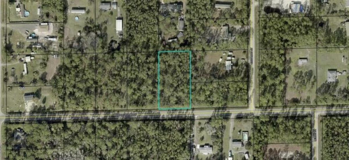 Picture of Residential Land For Sale in Bunnell, Florida, United States