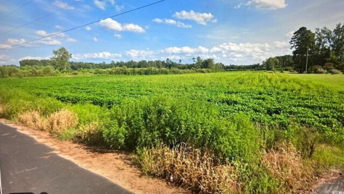 Picture of Residential Land For Sale in Loris, South Carolina, United States