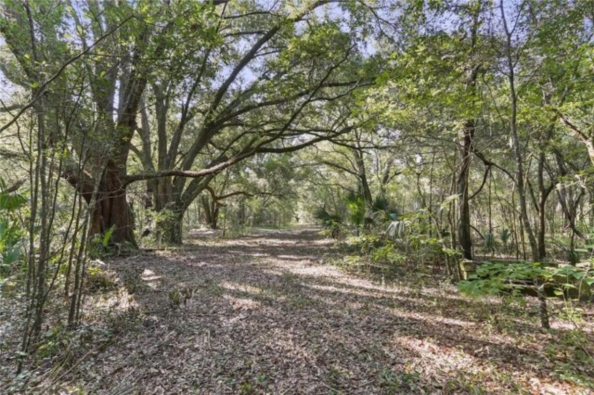 Picture of Residential Land For Sale in Archer, Florida, United States