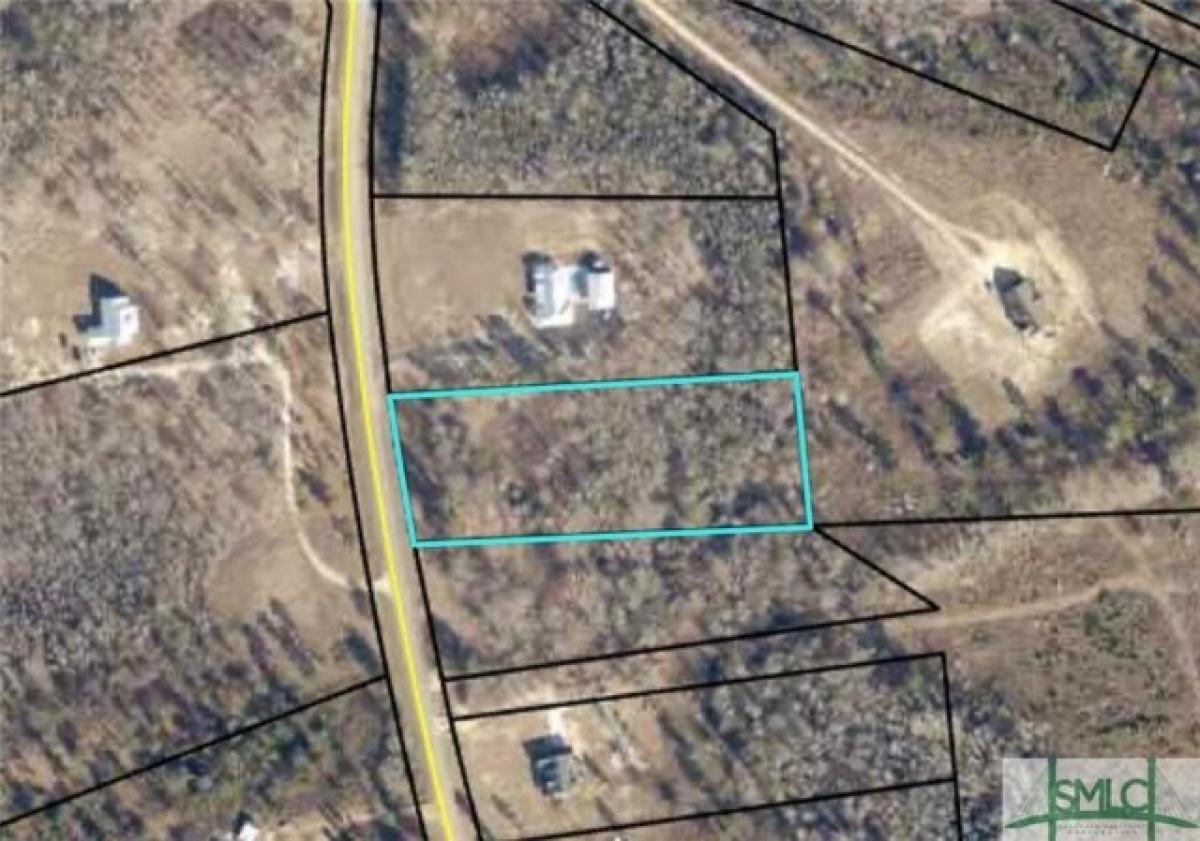 Picture of Residential Land For Sale in Swainsboro, Georgia, United States