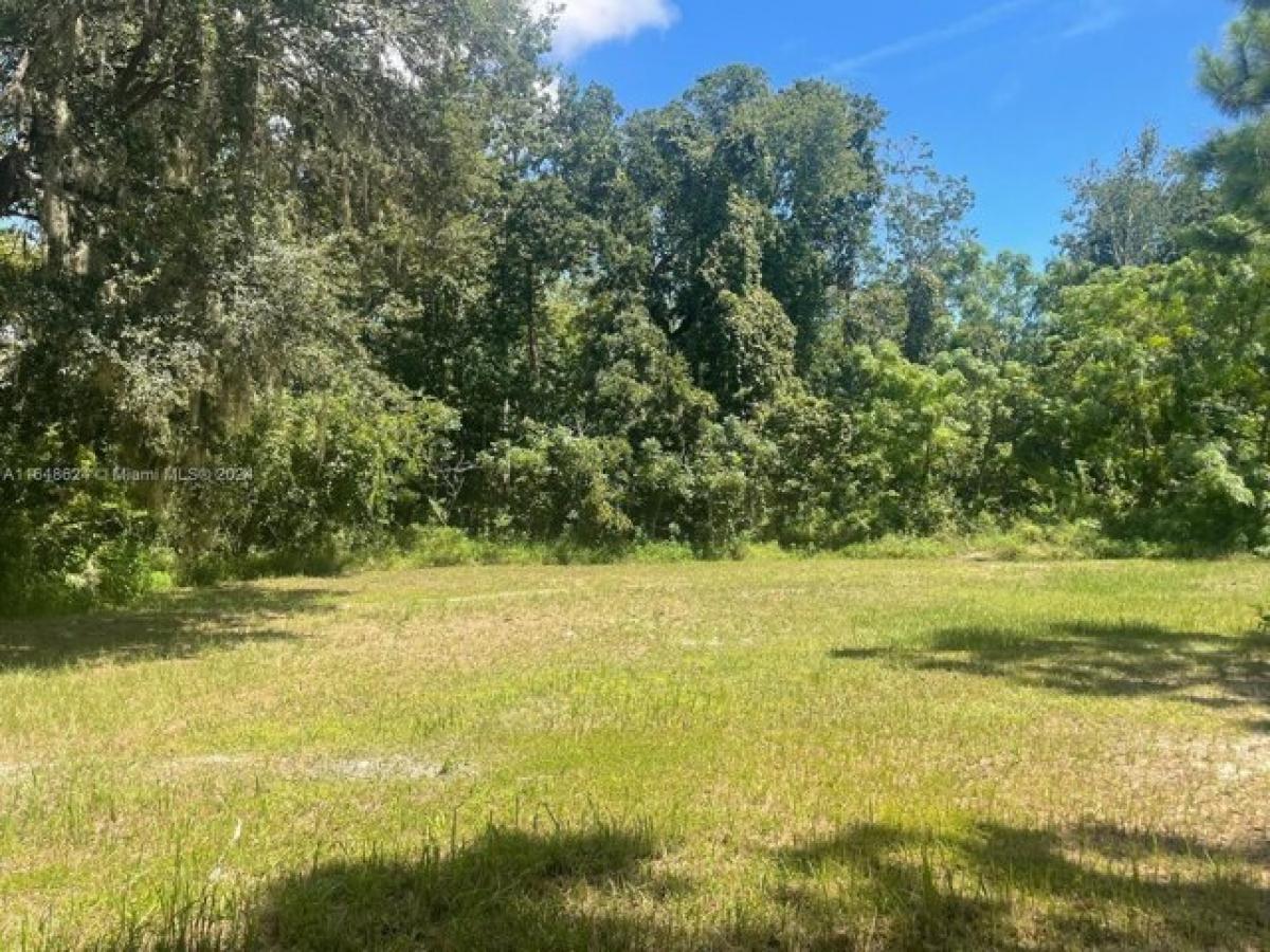 Picture of Residential Land For Sale in Clermont, Florida, United States