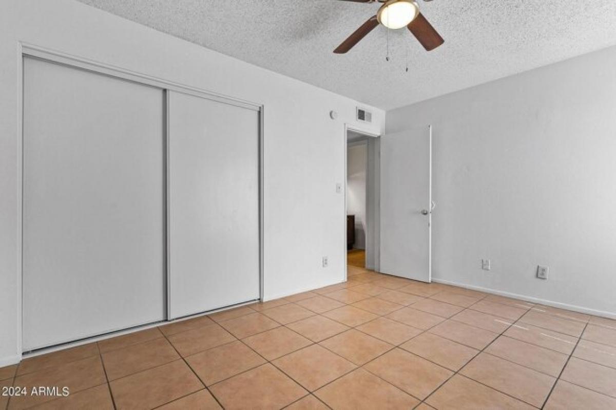 Picture of Apartment For Rent in Mesa, Arizona, United States