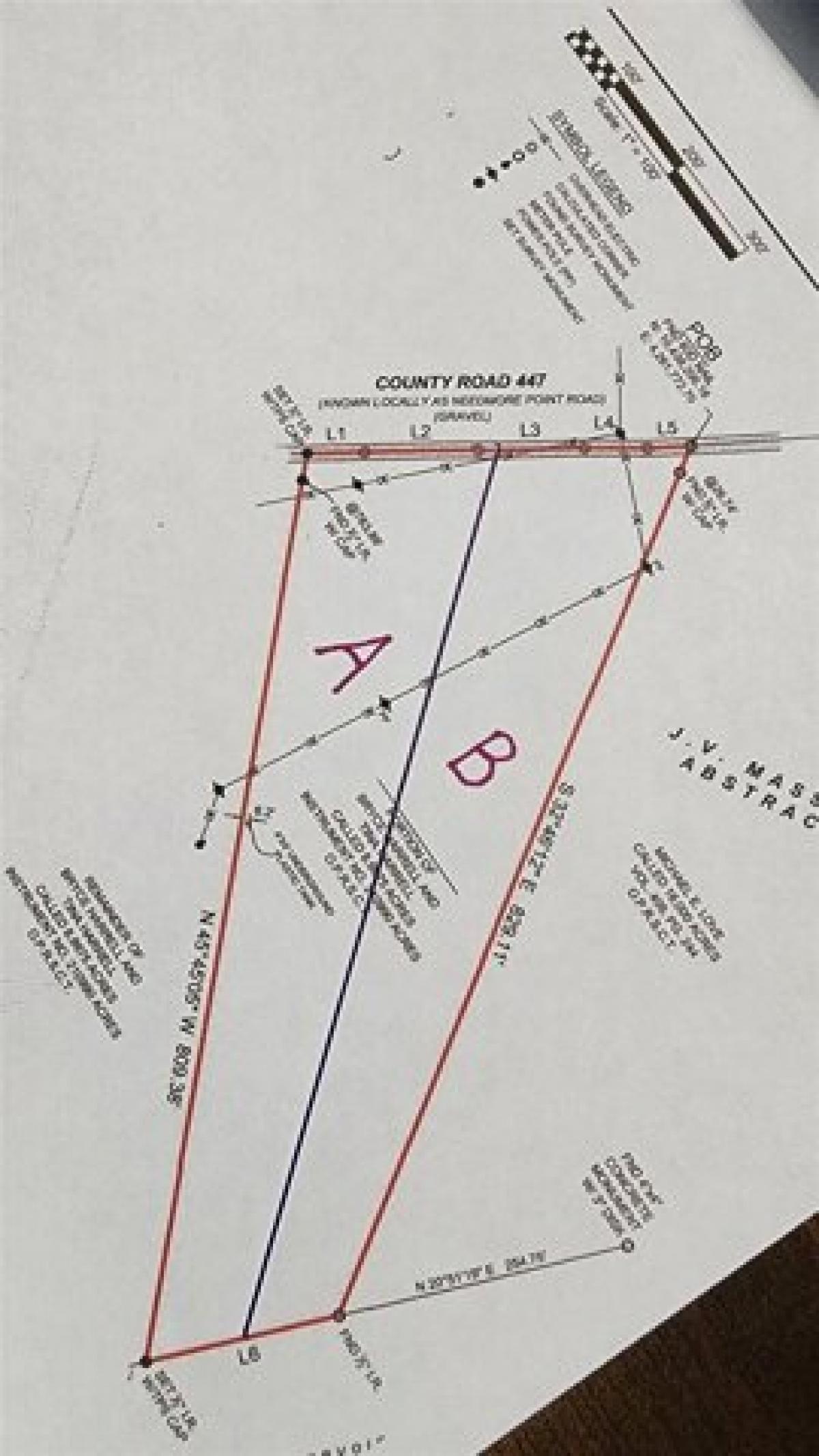 Picture of Residential Land For Sale in Bronson, Texas, United States