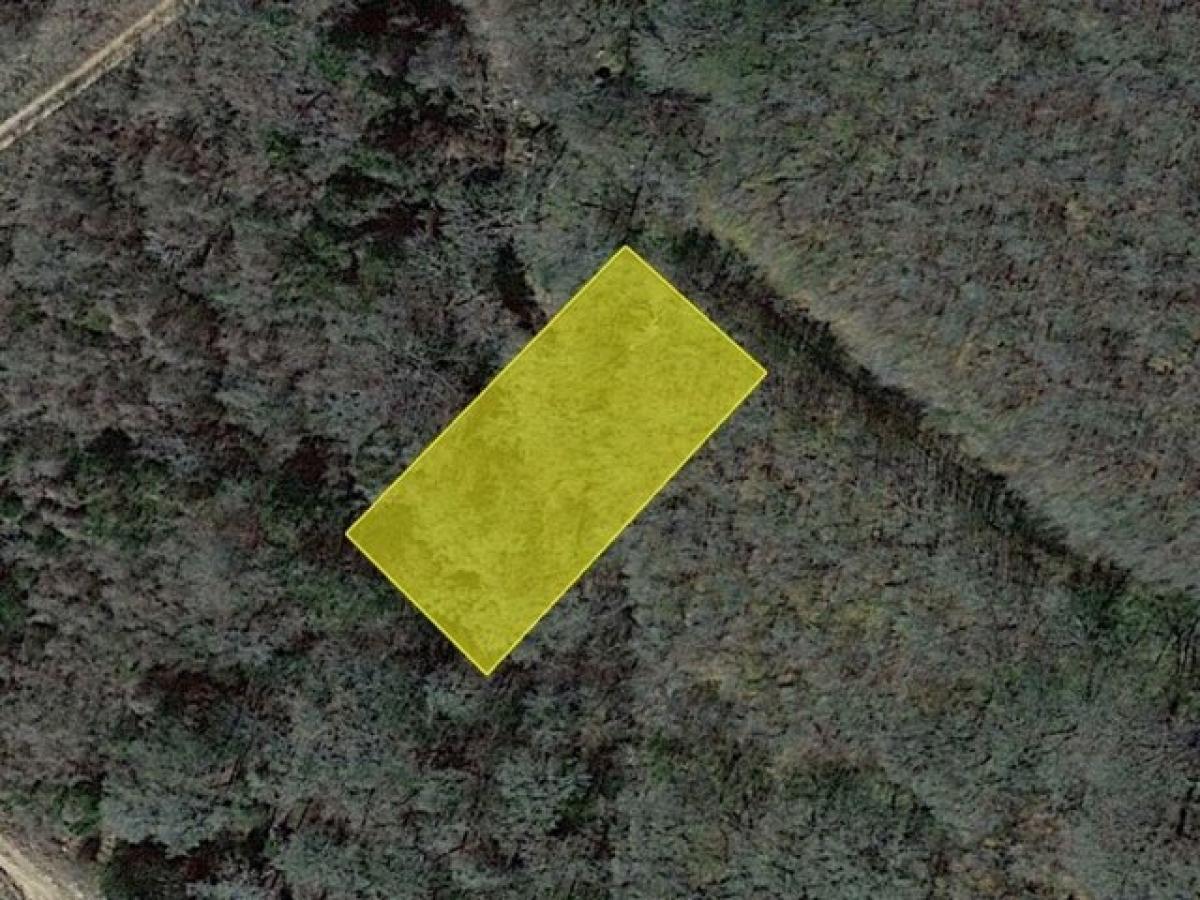 Picture of Residential Land For Sale in Bastrop, Texas, United States