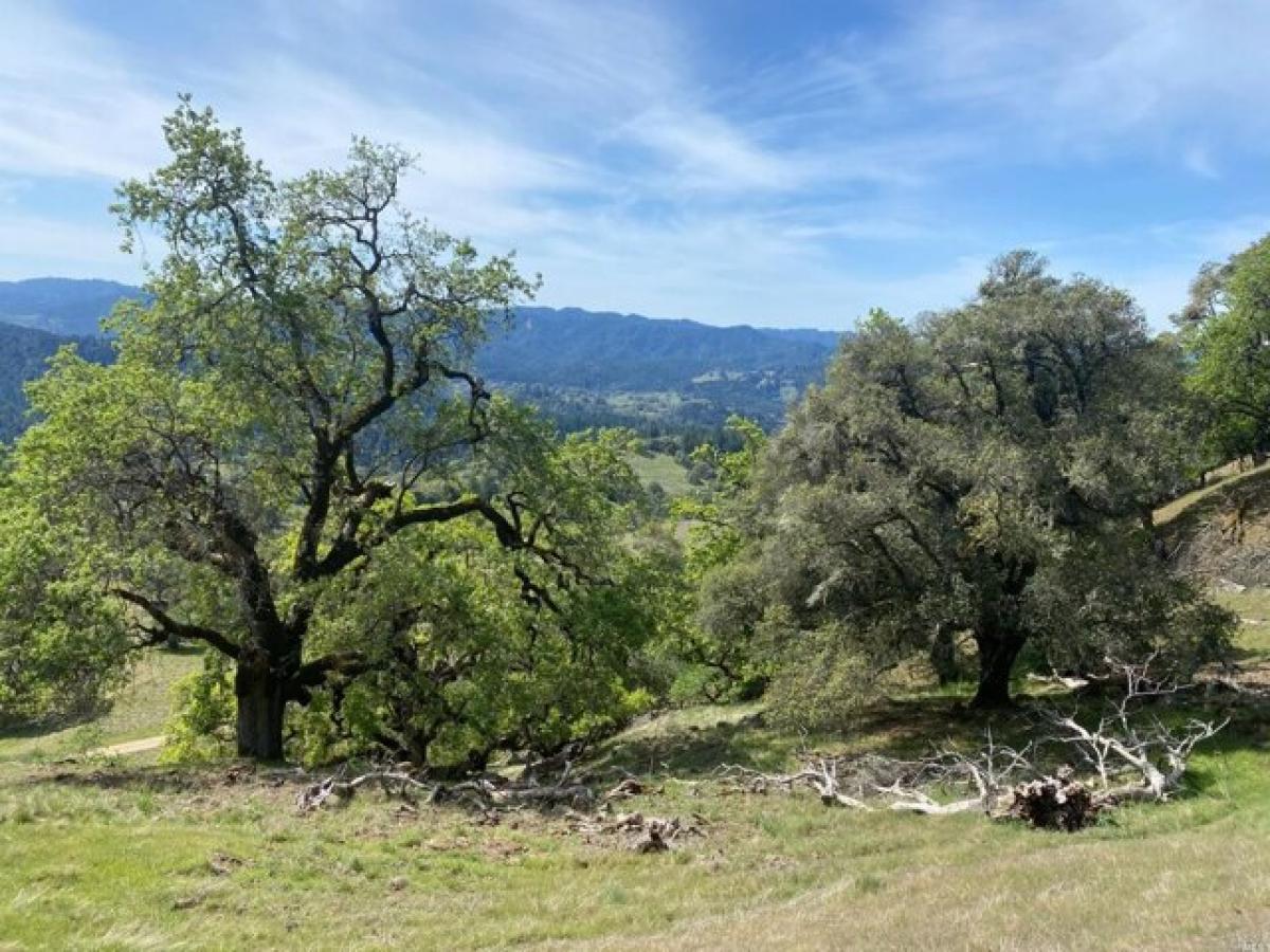 Picture of Residential Land For Sale in Yorkville, California, United States