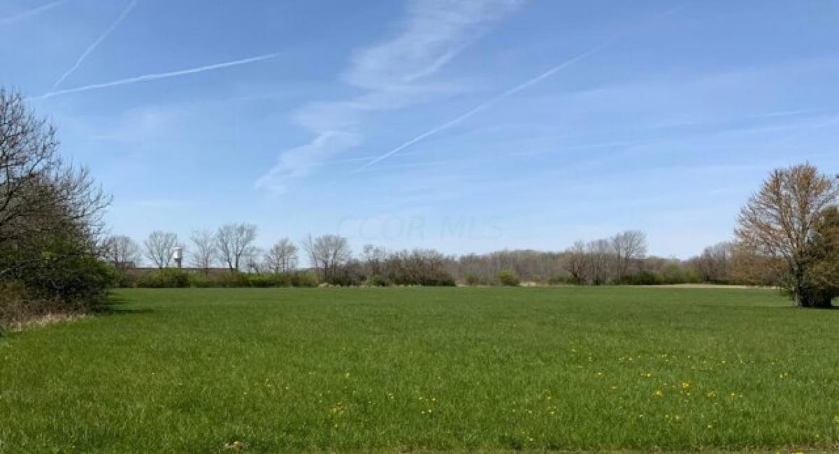 Picture of Residential Land For Sale in Saint Paris, Ohio, United States