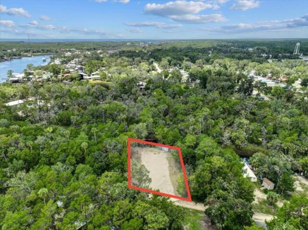 Picture of Residential Land For Sale in Steinhatchee, Florida, United States