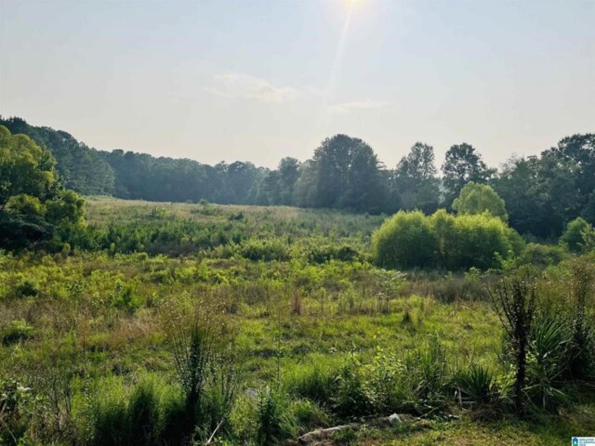 Picture of Residential Land For Sale in Columbiana, Alabama, United States