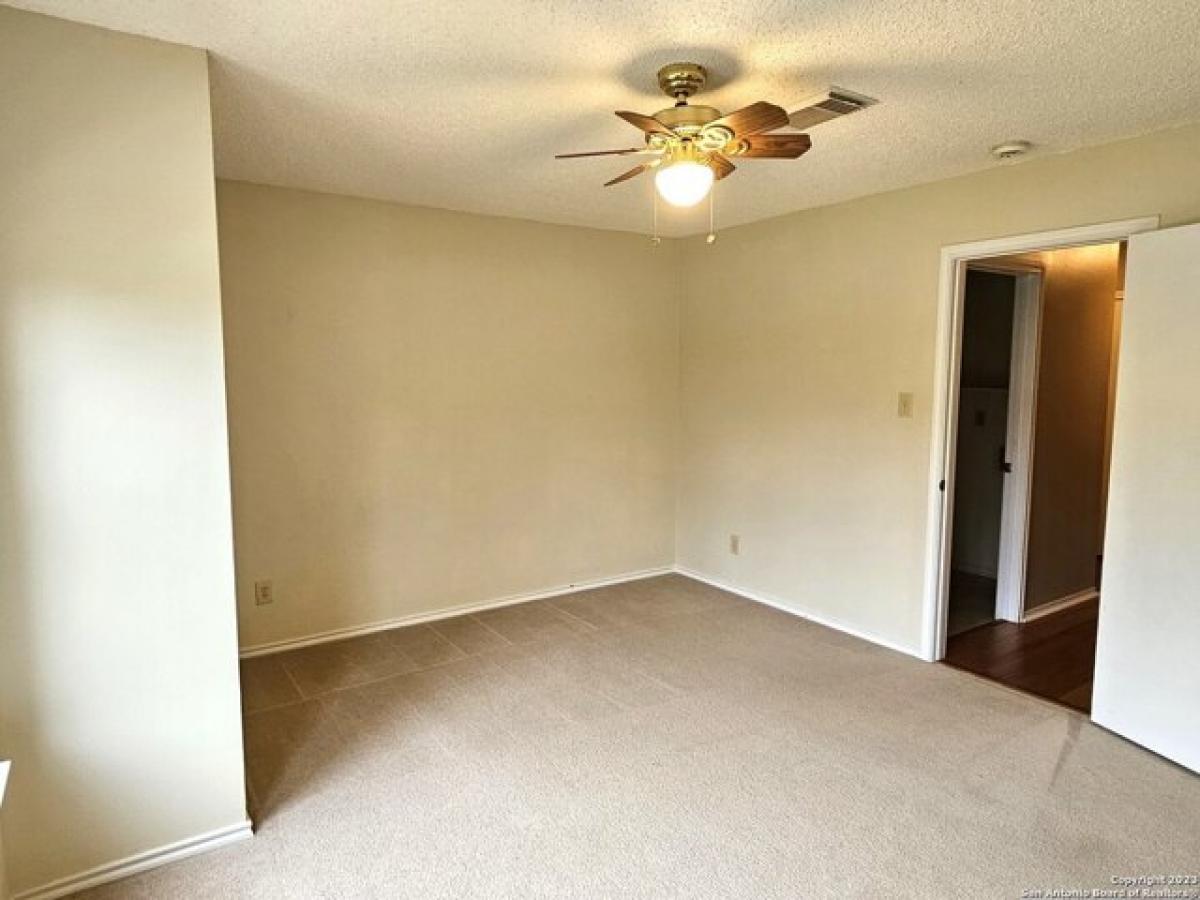 Picture of Home For Rent in Schertz, Texas, United States