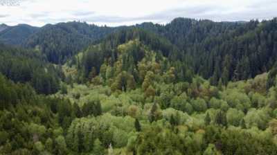 Residential Land For Sale in Mapleton, Oregon