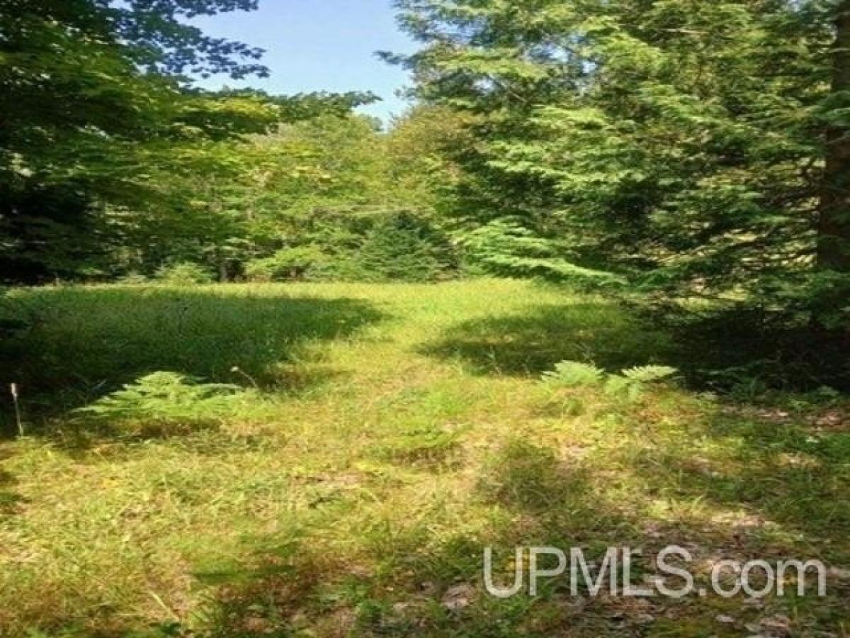 Picture of Residential Land For Sale in Skandia, Michigan, United States