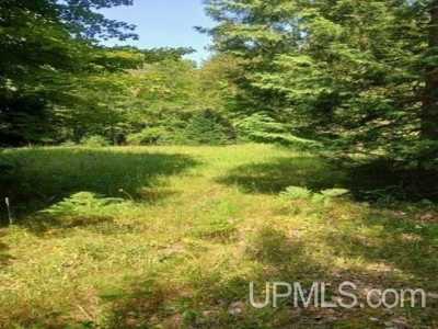 Residential Land For Sale in Skandia, Michigan