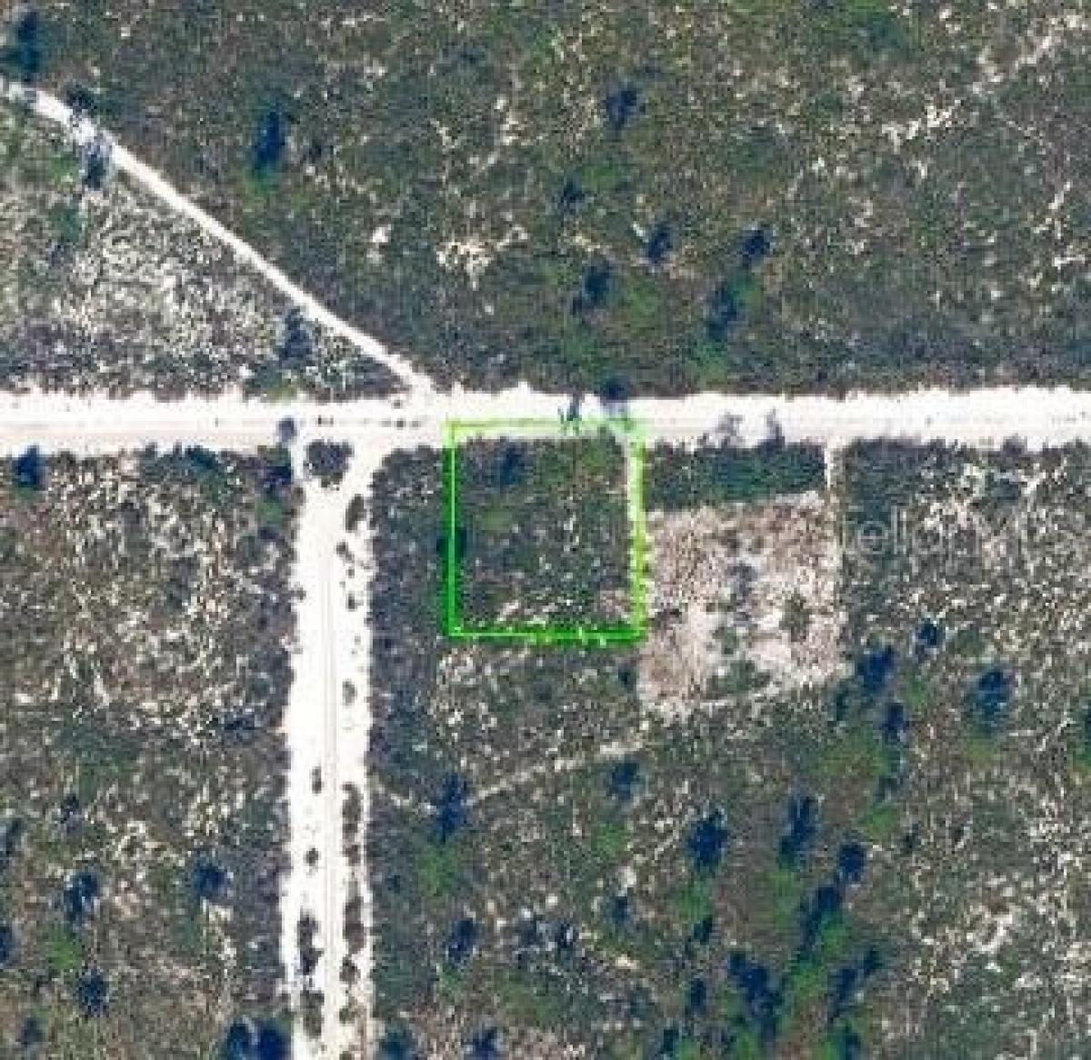 Picture of Residential Land For Sale in Lake Placid, Florida, United States