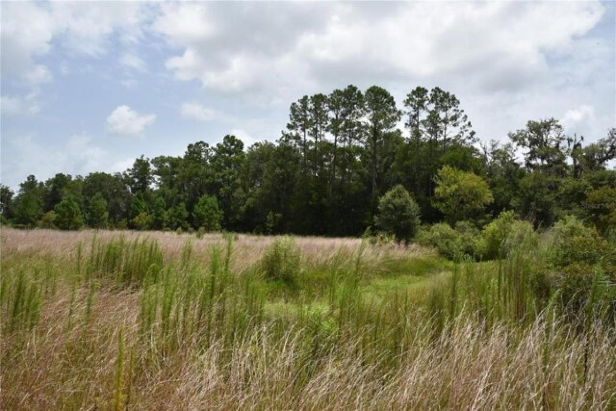 Picture of Residential Land For Sale in Old Town, Florida, United States