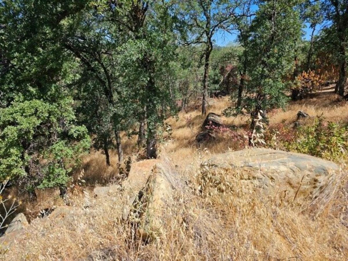 Picture of Residential Land For Sale in Auburn, California, United States