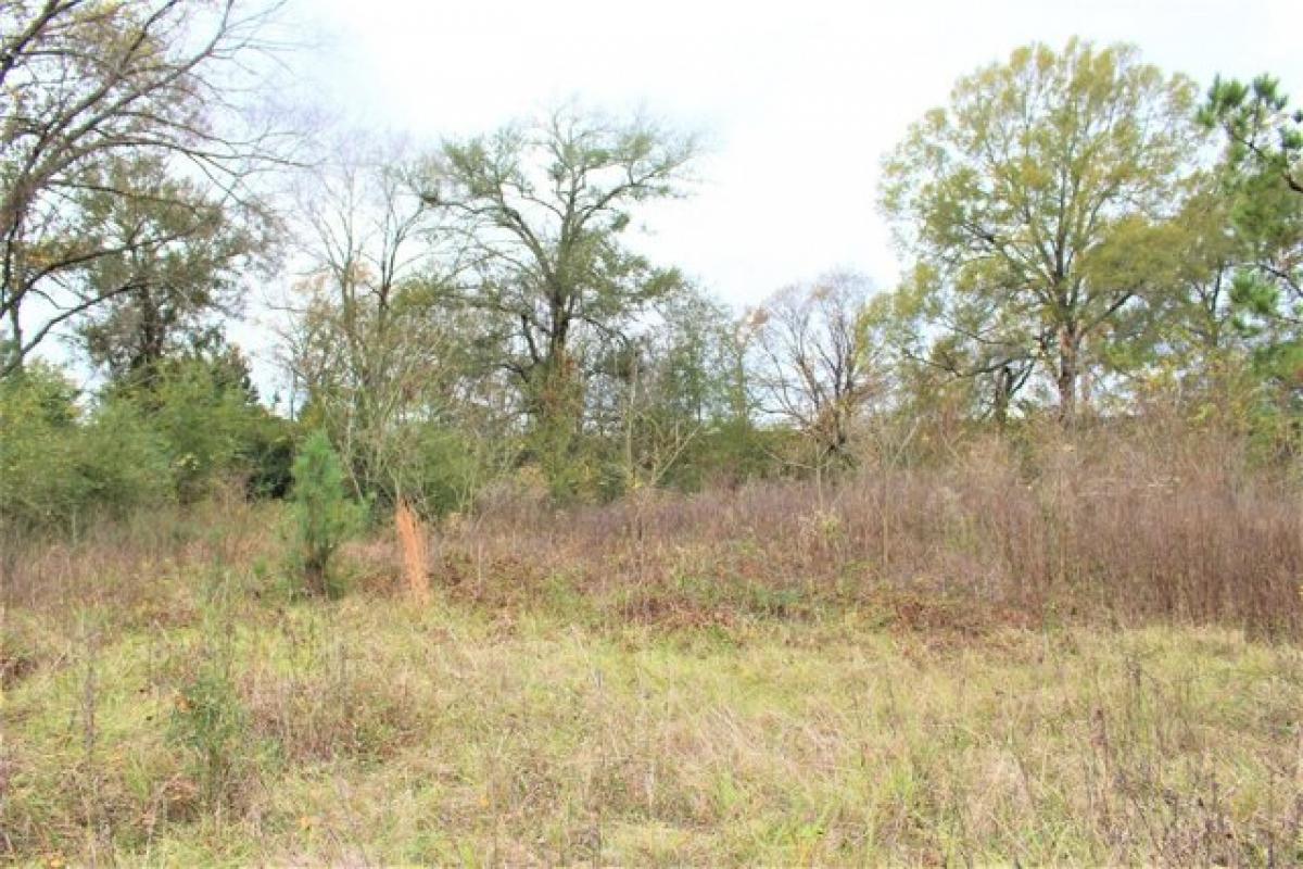 Picture of Residential Land For Sale in Crockett, Texas, United States